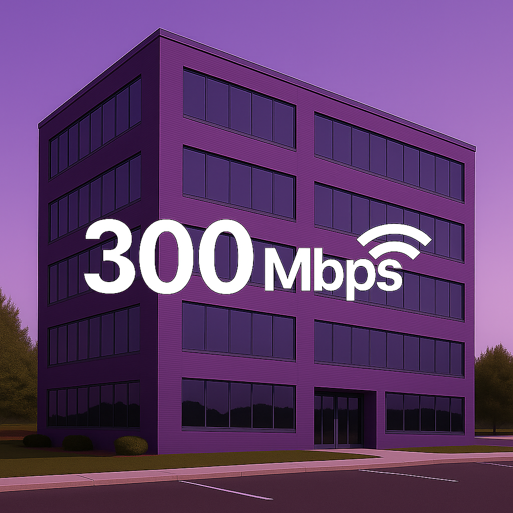 Business 300